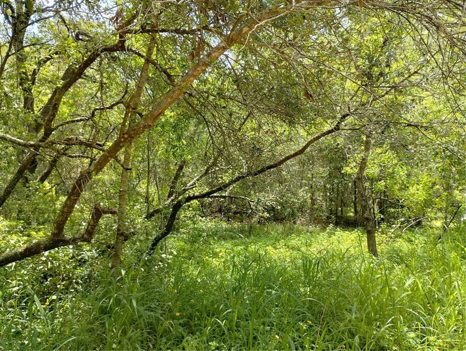 For Sale: $25,000 (0.27 acres)