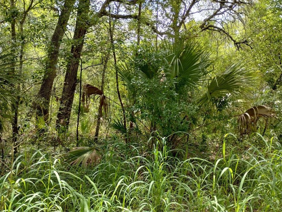 For Sale: $25,000 (0.27 acres)