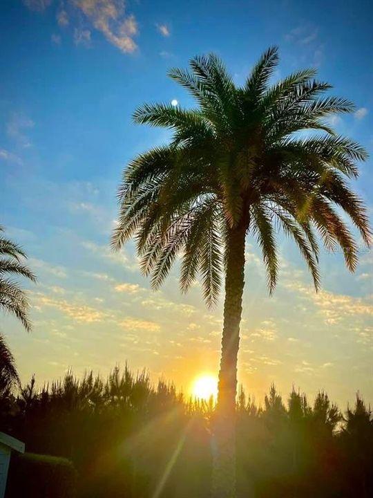 For Sale: $108,000 (0.09 acres)