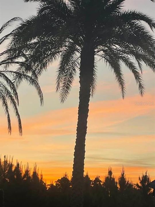 For Sale: $108,000 (0.09 acres)