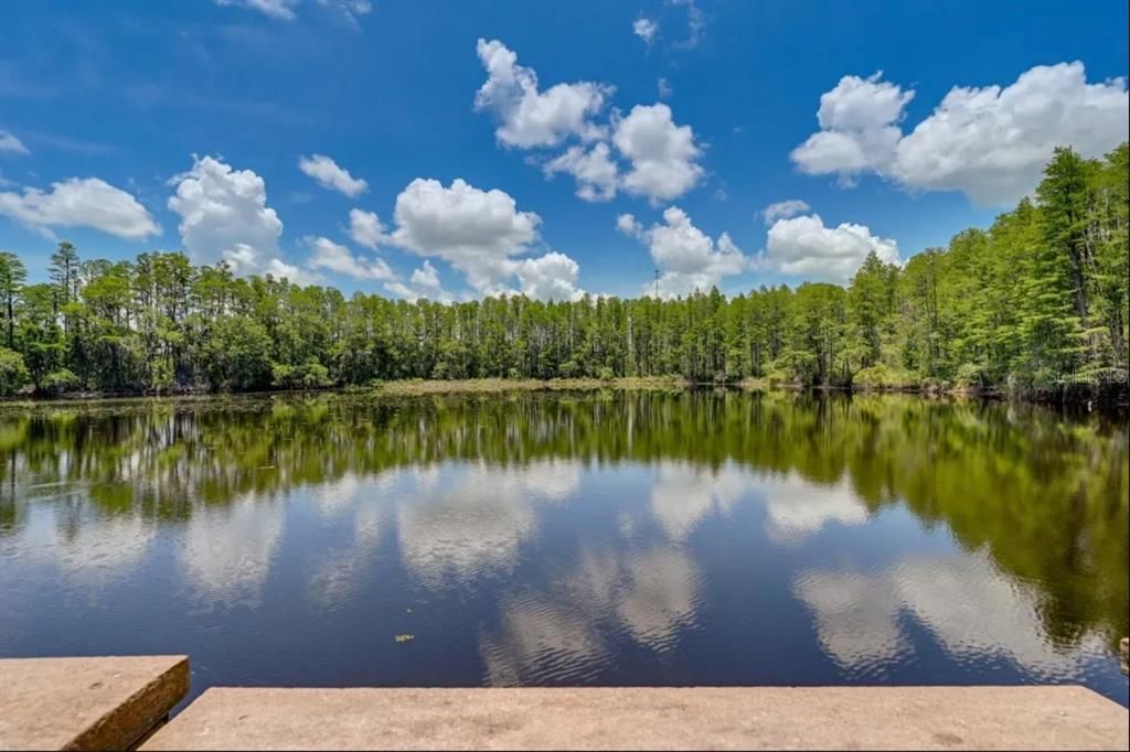 合同活跃: $94,999 (1 贝兹, 1 浴室, 456 平方英尺)