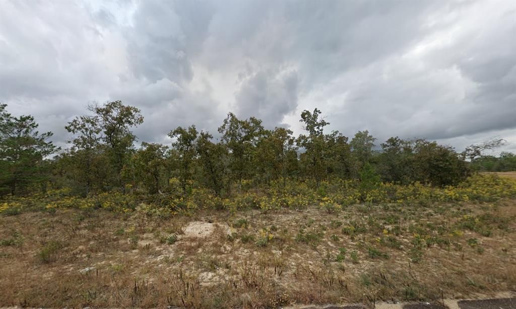 Recently Sold: $6,500 (0.76 acres)