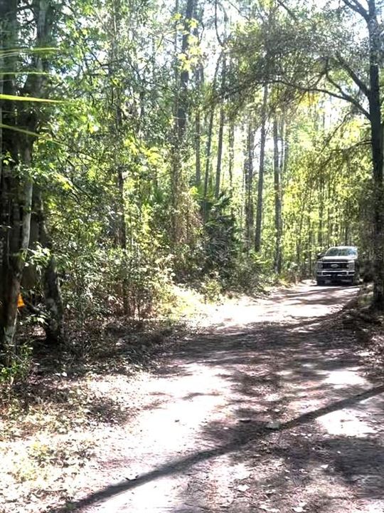 待售: $279,500 (3.01 acres)