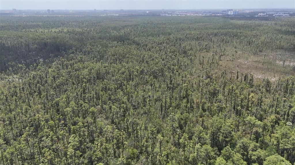 For Sale: $70,000 (1.24 acres)