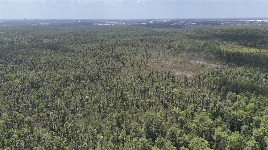 For Sale: $70,000 (1.24 acres)