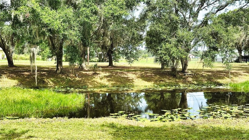 For Sale: $420,000 (4 beds, 2 baths, 1860 Square Feet)