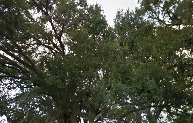 Recently Sold: $170,000 (0.33 acres)