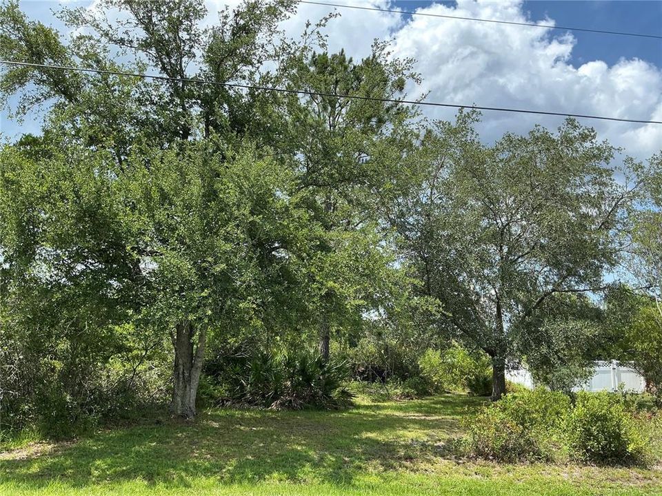 Recently Sold: $74,000 (0.31 acres)