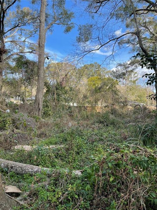 待售: $15,000 (0.11 acres)