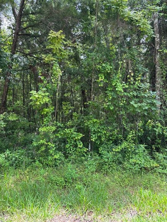 For Sale: $24,250 (0.37 acres)