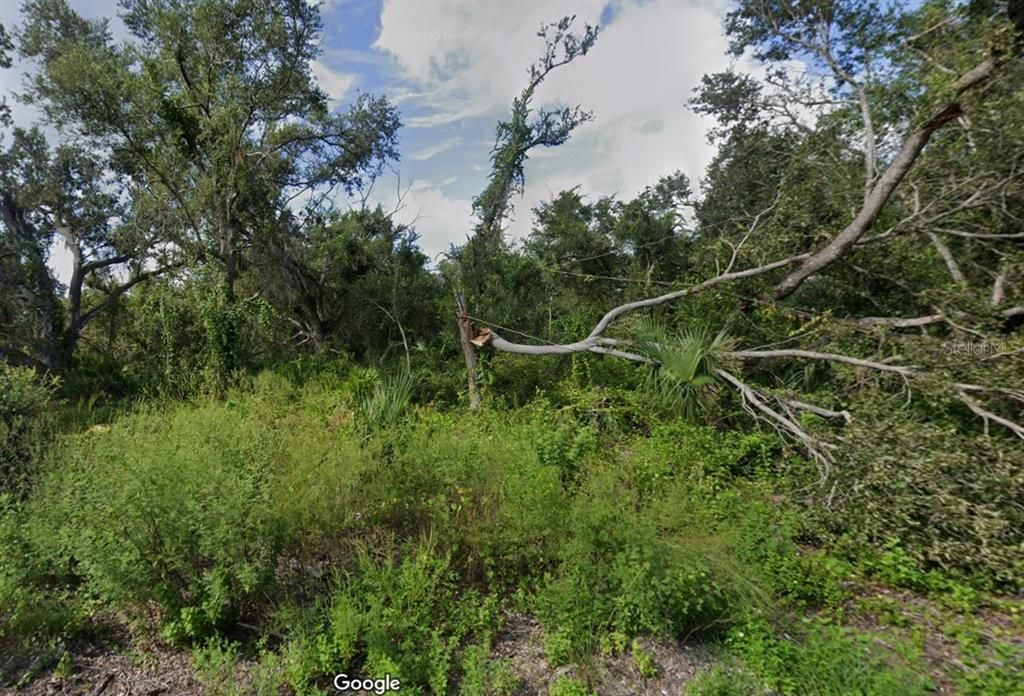 For Sale: $12,900 (0.23 acres)