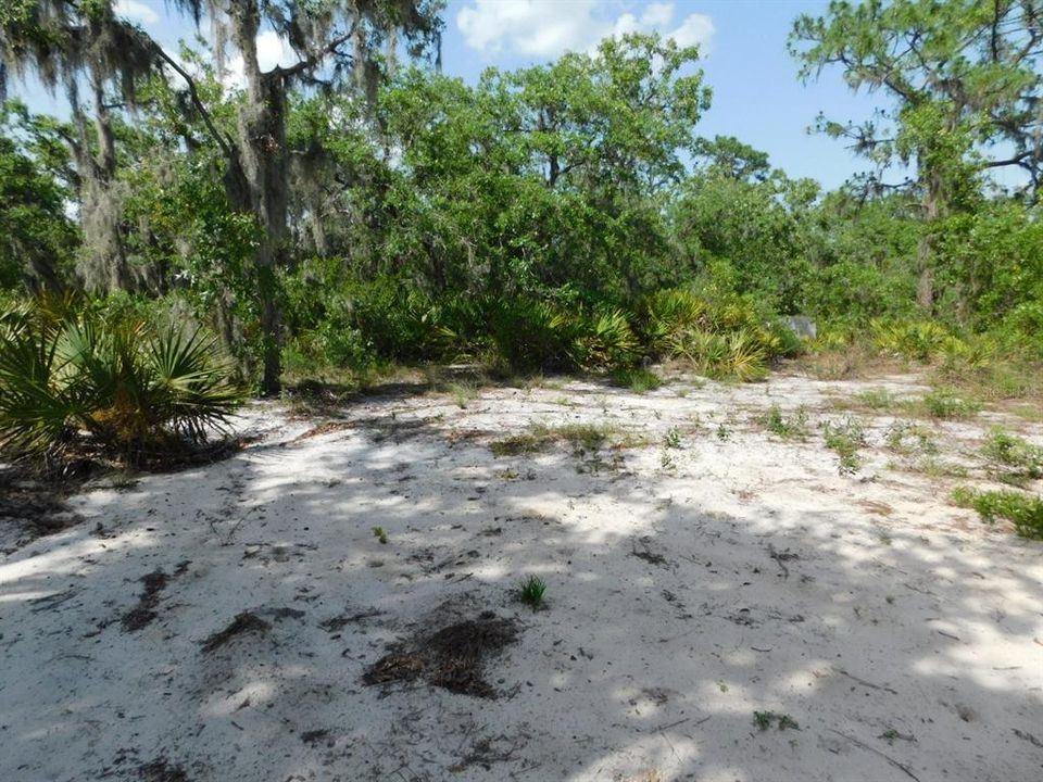 For Sale: $219,000 (5.14 acres)