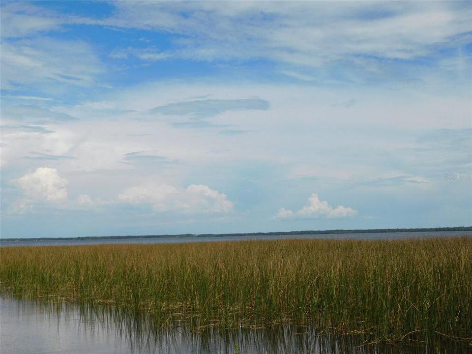 For Sale: $219,000 (5.14 acres)