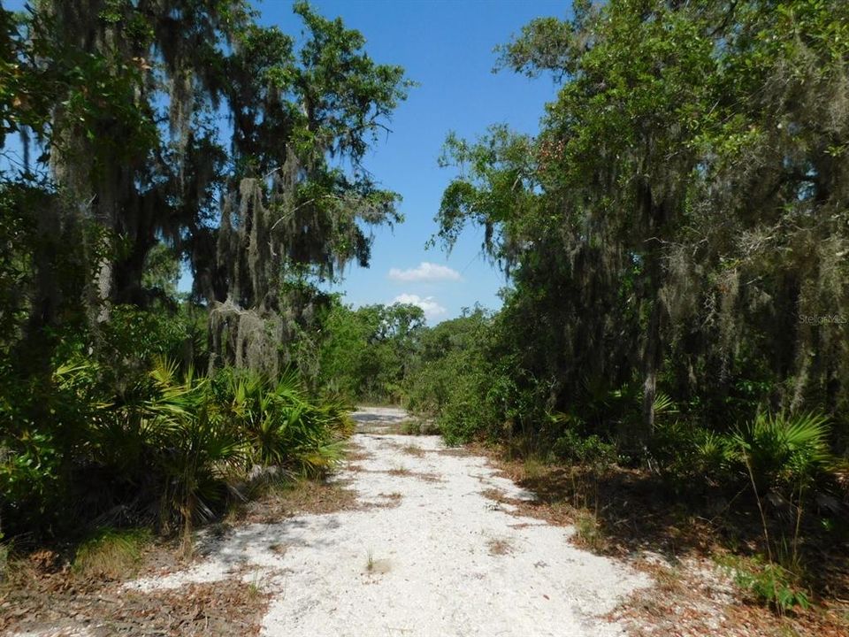 For Sale: $219,000 (5.14 acres)