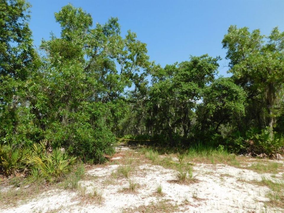 For Sale: $219,000 (5.14 acres)