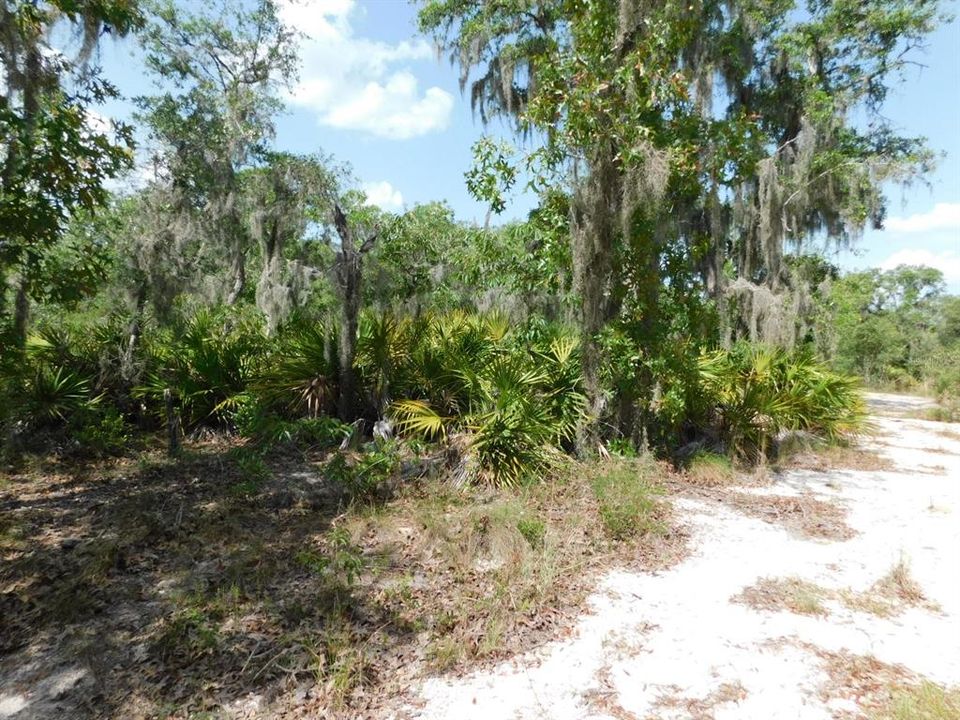 For Sale: $219,000 (5.14 acres)