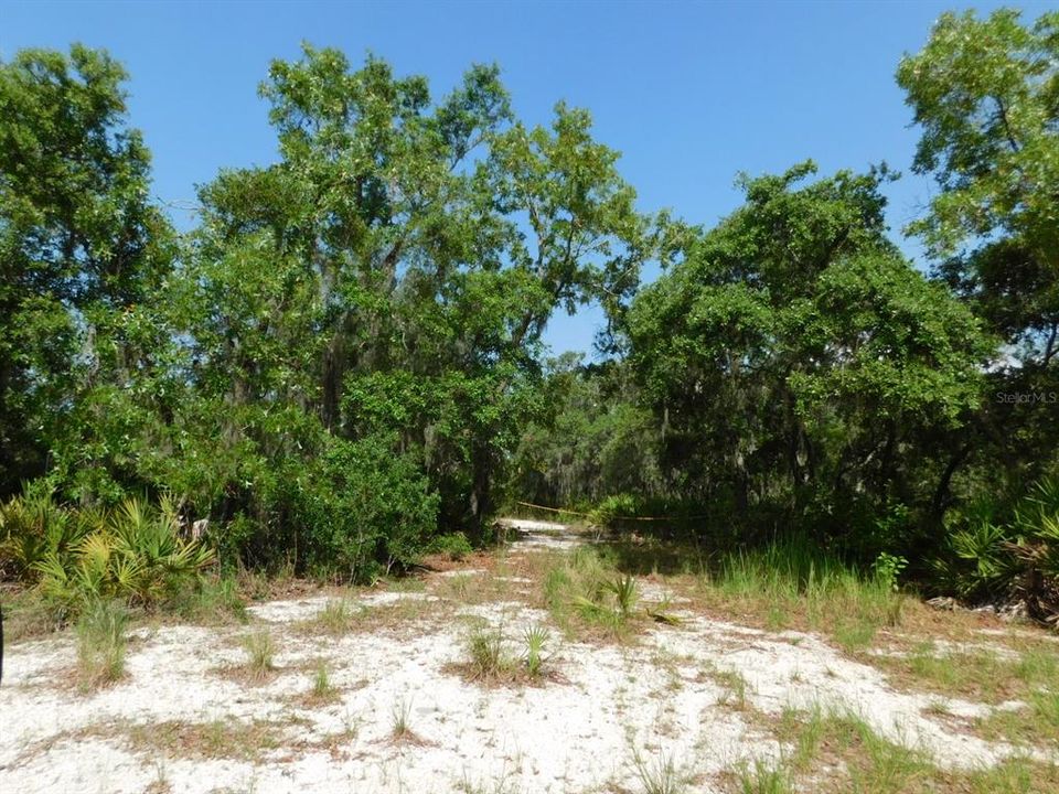 For Sale: $219,000 (5.14 acres)