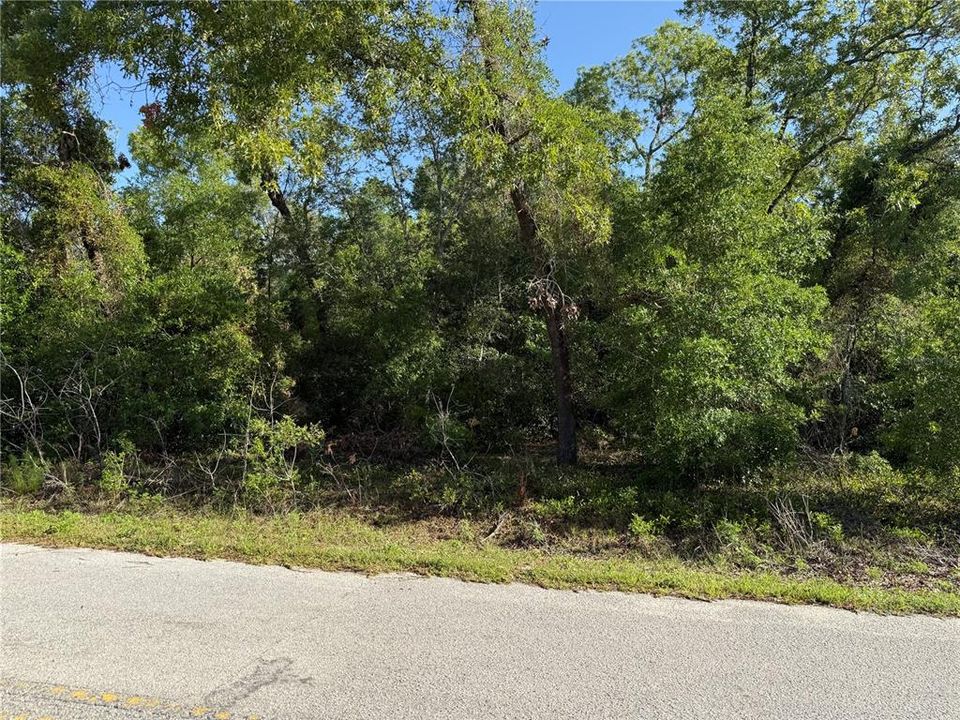 For Sale: $44,900 (0.32 acres)