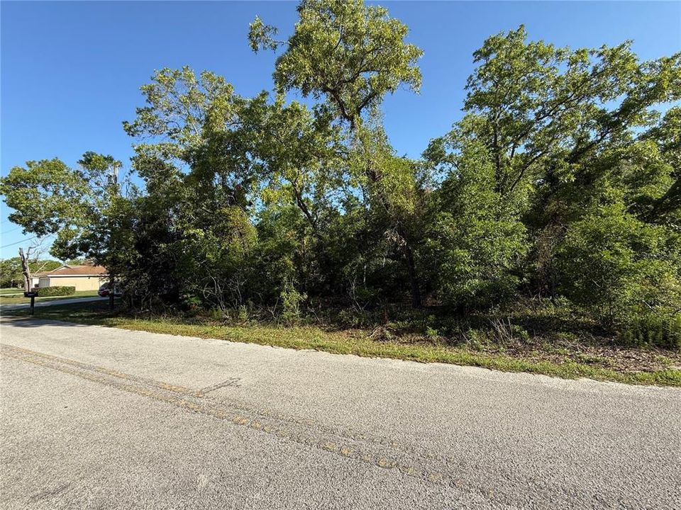 For Sale: $44,900 (0.32 acres)