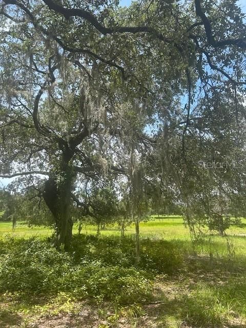 На продажу: $414,900 (8.22 acres)