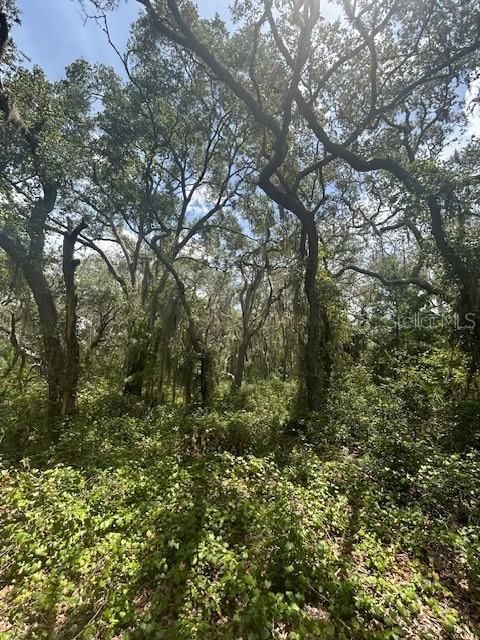 На продажу: $414,900 (8.22 acres)