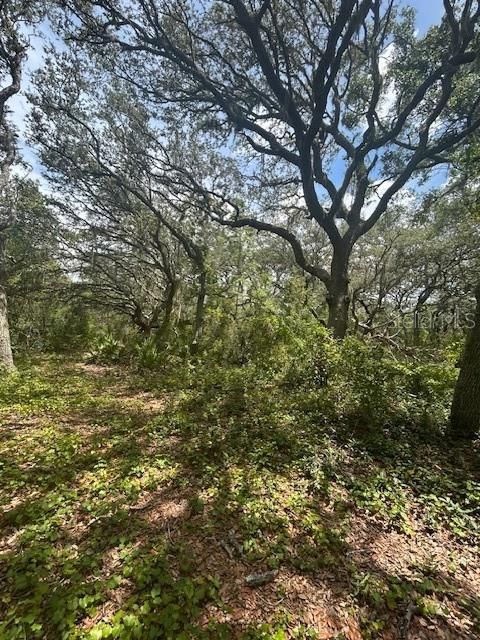 На продажу: $414,900 (8.22 acres)