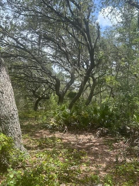 На продажу: $414,900 (8.22 acres)