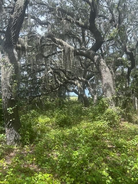 На продажу: $414,900 (8.22 acres)