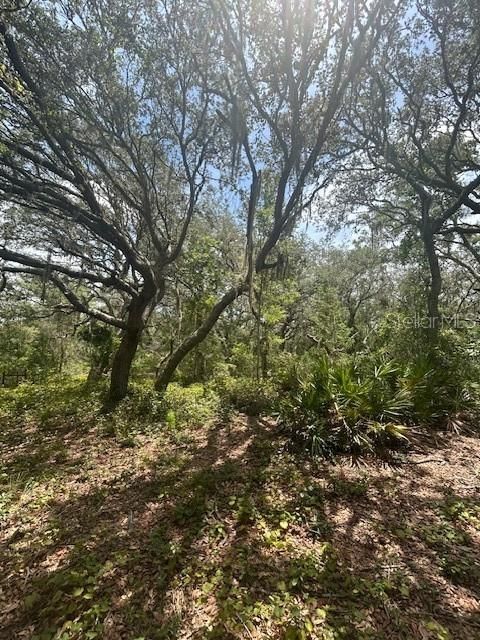 На продажу: $414,900 (8.22 acres)