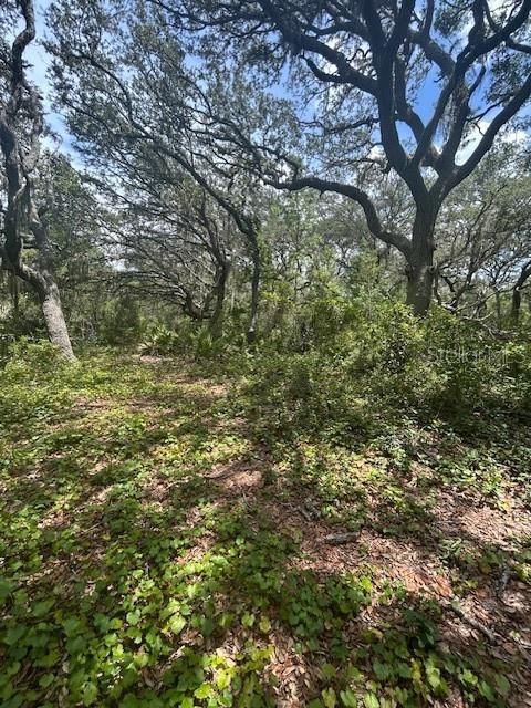 На продажу: $414,900 (8.22 acres)