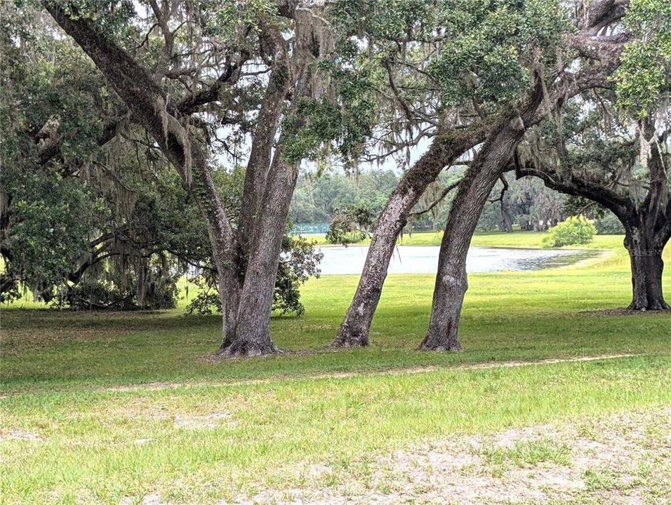 Activo con contrato: $234,900 (3 camas, 2 baños, 1393 Pies cuadrados)