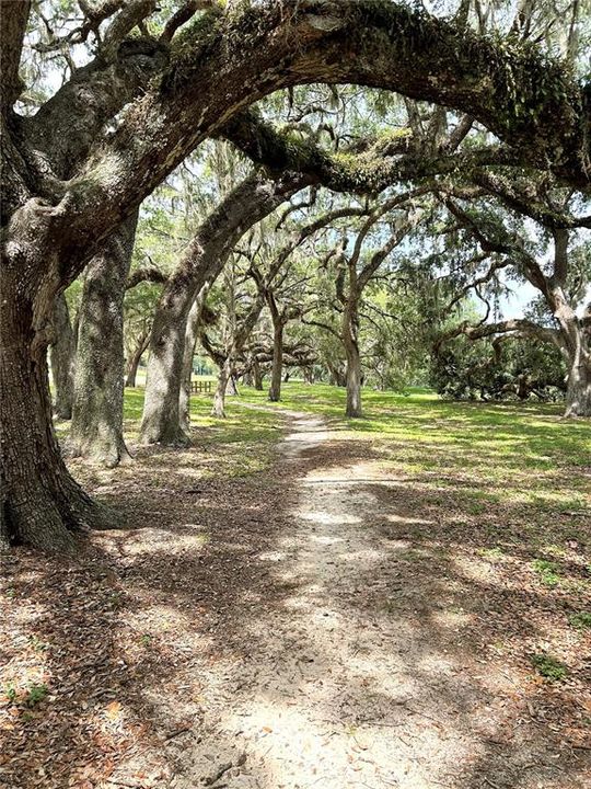 Activo con contrato: $234,900 (3 camas, 2 baños, 1393 Pies cuadrados)