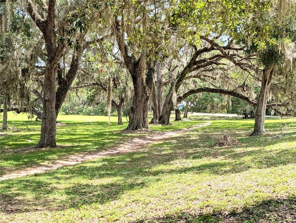 Activo con contrato: $234,900 (3 camas, 2 baños, 1393 Pies cuadrados)