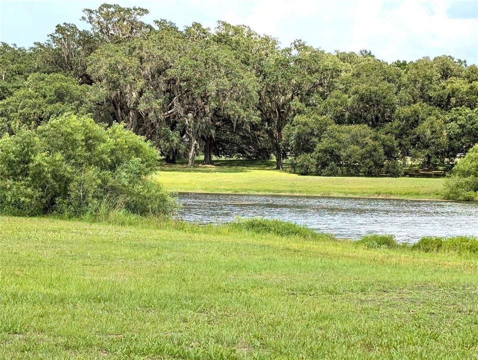 Activo con contrato: $234,900 (3 camas, 2 baños, 1393 Pies cuadrados)