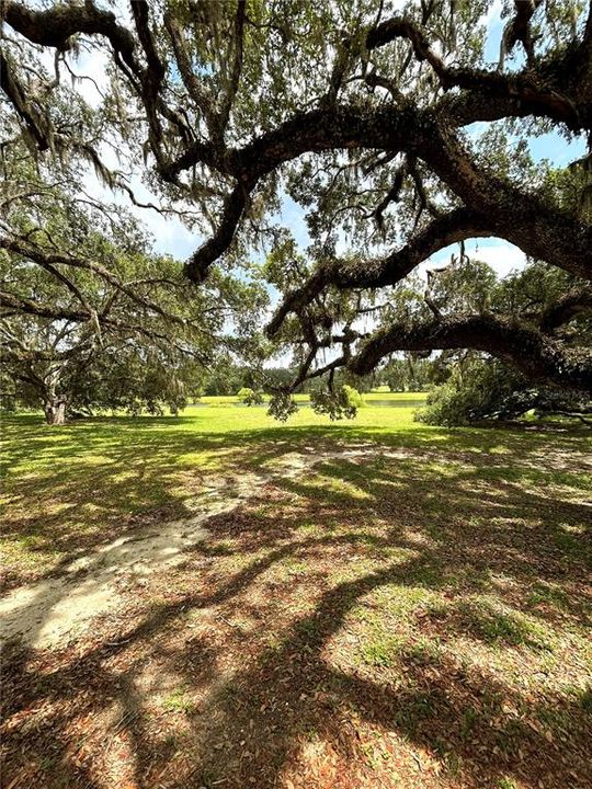 Activo con contrato: $234,900 (3 camas, 2 baños, 1393 Pies cuadrados)