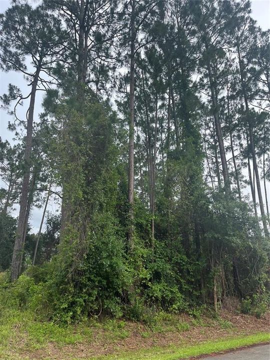 合同活跃: $85,000 (0.23 acres)