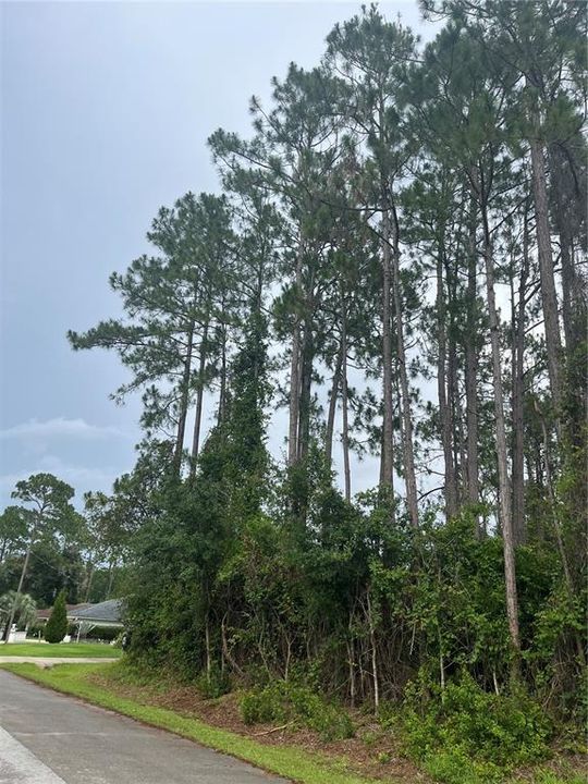 合同活跃: $85,000 (0.23 acres)