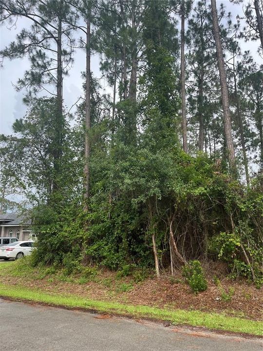 合同活跃: $85,000 (0.23 acres)