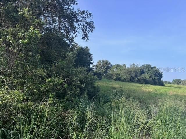 En Venta: $294,900 (11.66 acres)