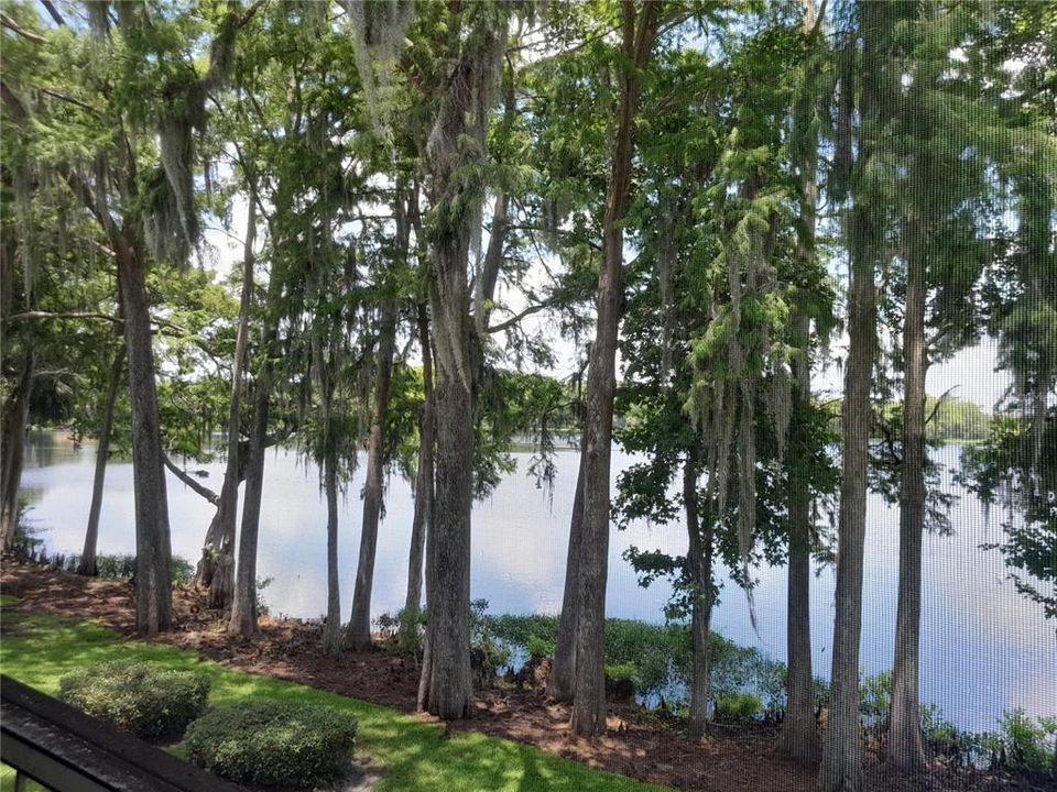 На продажу: $179,900 (2 спален, 2 ванн, 960 Квадратных фут)