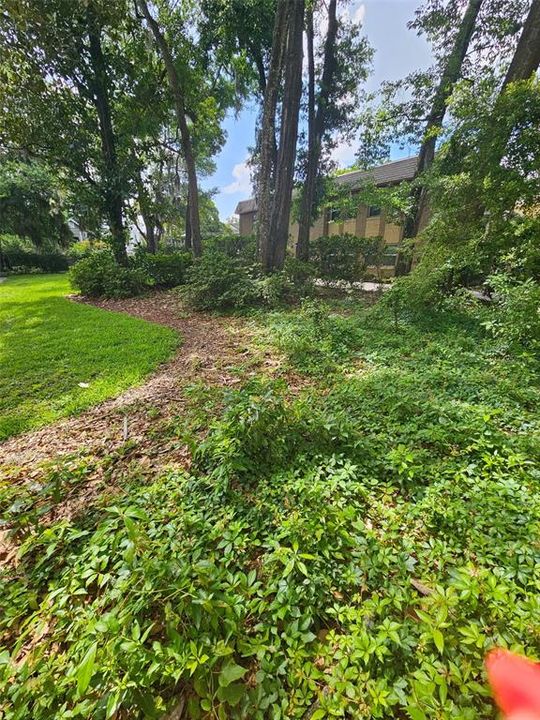 Active With Contract: $225,000 (0.17 acres)