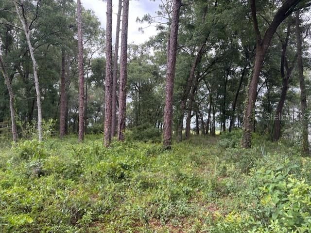 Active With Contract: $250,000 (3 beds, 2 baths, 1082 Square Feet)