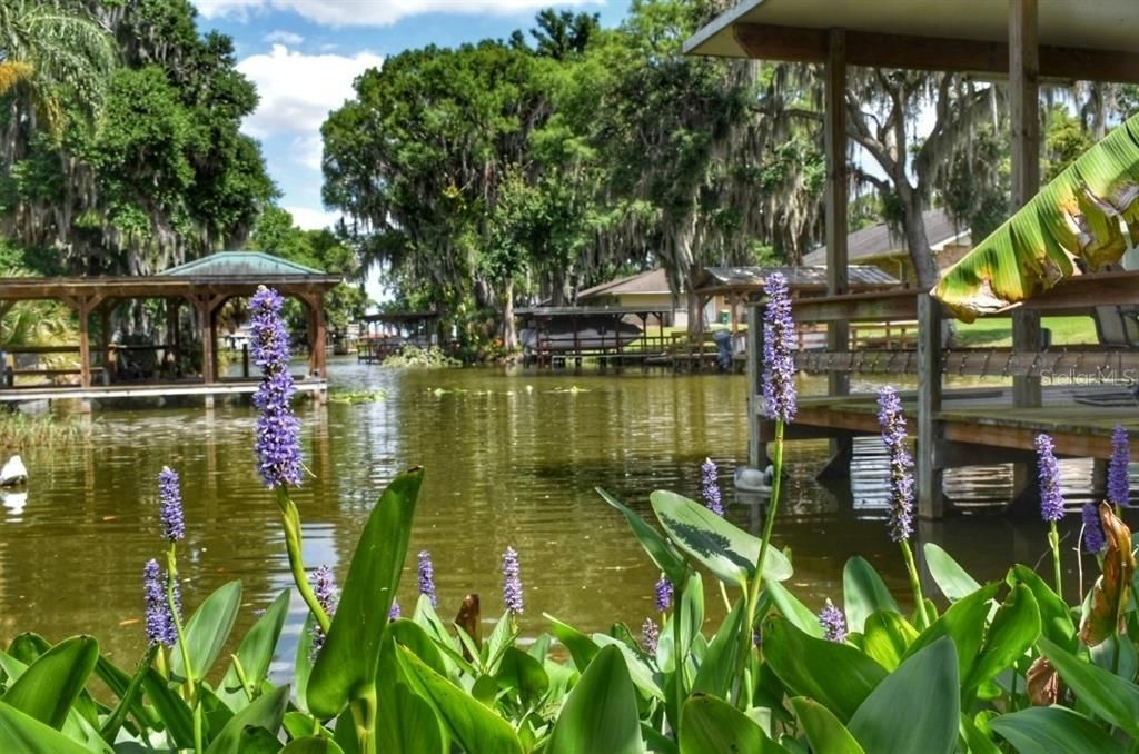 For Sale: $672,900 (3 beds, 2 baths, 2203 Square Feet)