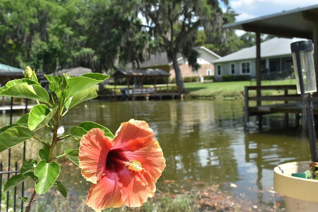 For Sale: $672,900 (3 beds, 2 baths, 2203 Square Feet)