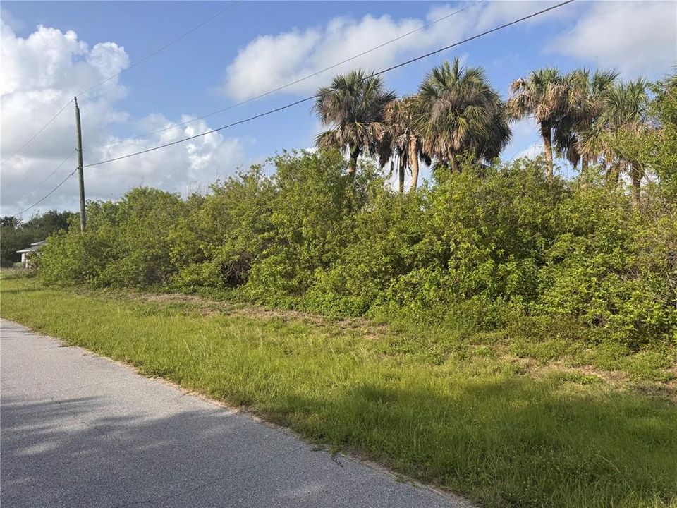 For Sale: $21,000 (0.17 acres)