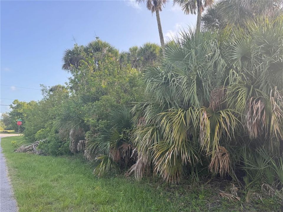 For Sale: $21,000 (0.17 acres)