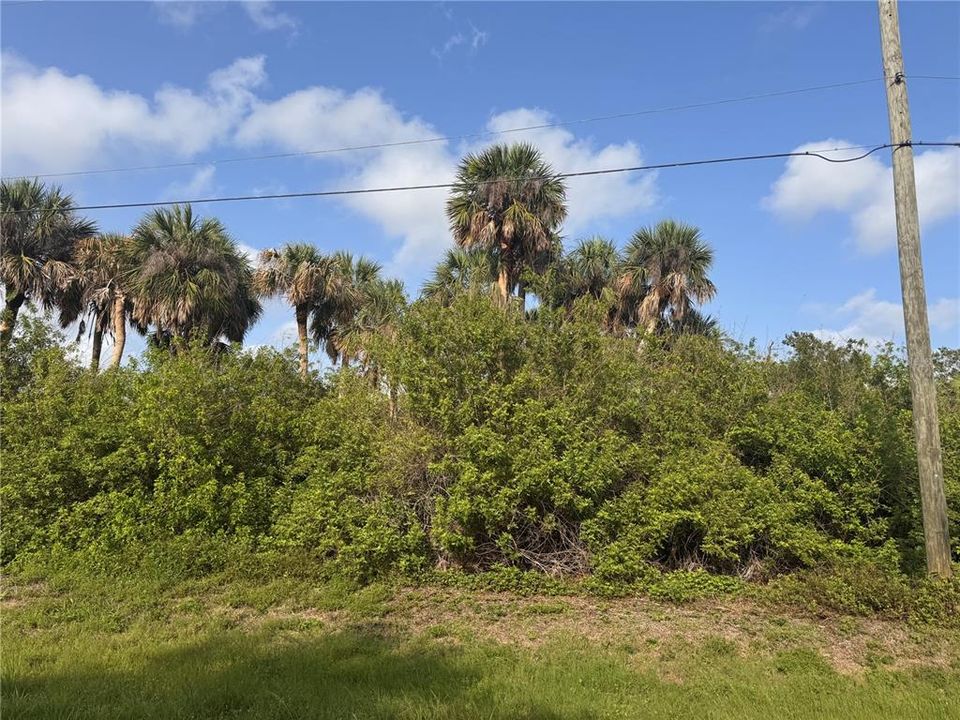 For Sale: $21,000 (0.17 acres)