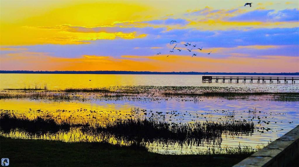 Active With Contract: $11,900 (0.50 acres)