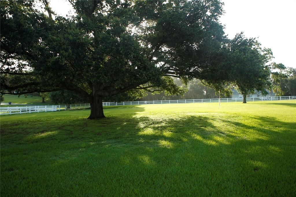 Activo con contrato: $249,900 (2.27 acres)