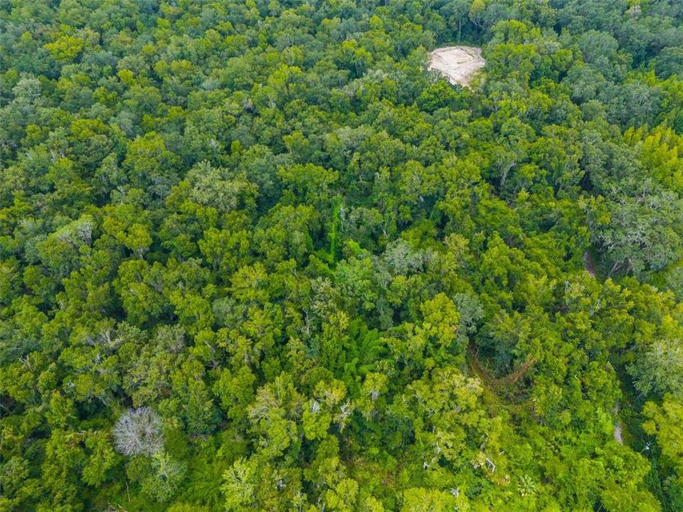 En Venta: $349,000 (10.00 acres)